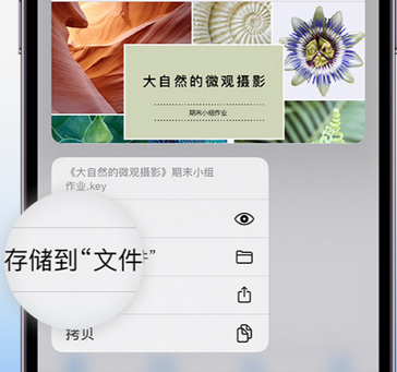 石门apple维修中心分享iPhone文件应用中存储和找到下载文件