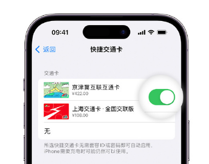 石门apple维修点分享iPhone上更换Apple Pay快捷交通卡手绘卡面 