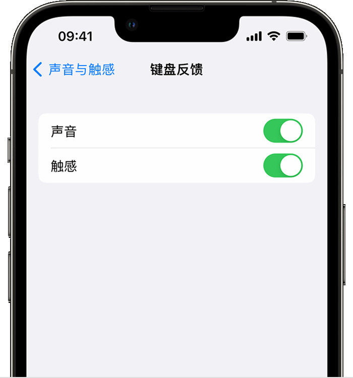 石门苹果14维修店分享如何在 iPhone 14 机型中使用触感键盘 
