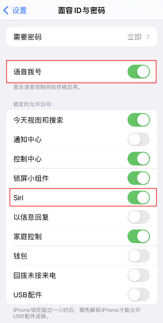 石门苹果维修网点分享不解锁 iPhone 的情况下通过 Siri 拨打电话的方法 