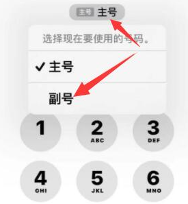 石门苹果14维修店分享iPhone 14 Pro Max使用副卡打电话的方法 