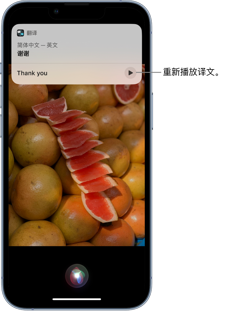 石门苹果14维修分享 iPhone 14 机型中使用 Siri：了解 Siri 能帮你做什么 