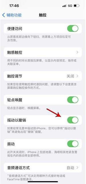 石门苹果手机维修分享iPhone手机如何设置摇一摇删除文字 