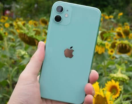 石门苹果维修点分享iPhone 11锁屏密码认知与使用科普 